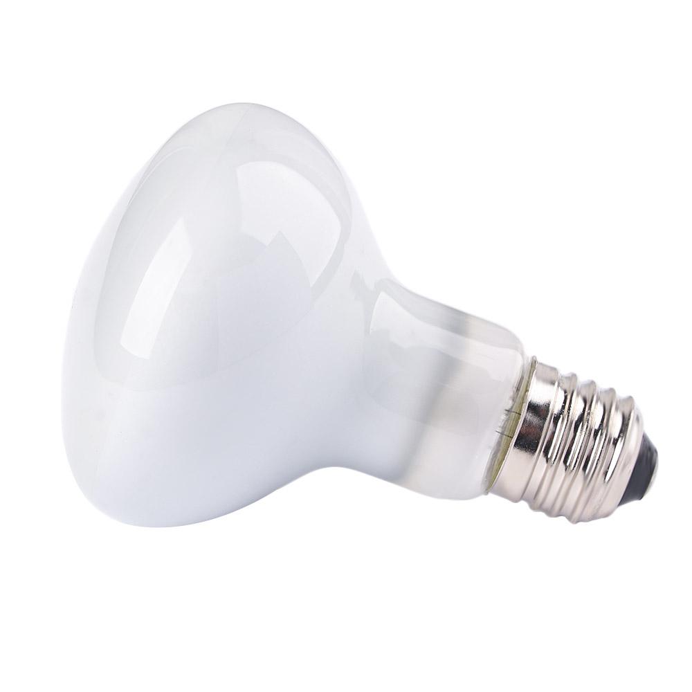 Basking Bulb Halogen - Amfibieën Temperatuurregelaar Verwarming Halogeenlamp UVA-licht Reptiel