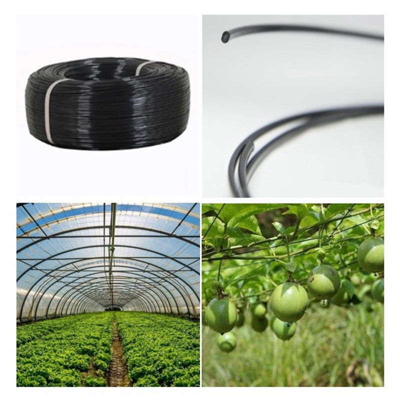 50m Plastic Stalen Draad Landb - Vine Climbing Plastic recensie en prijs