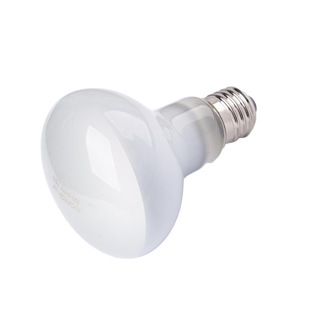 Amfibieën Temperatuurregelaar  - Basking Bulb Halogen recensie en prijs