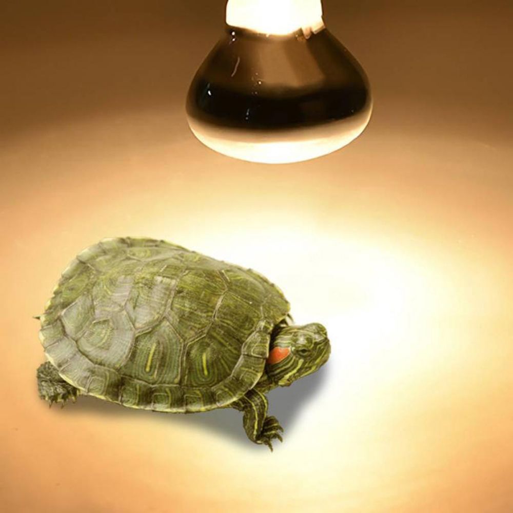 Schildpadverwarmer Warmtelamp  - Basking Bulb Halogen recensie en prijs