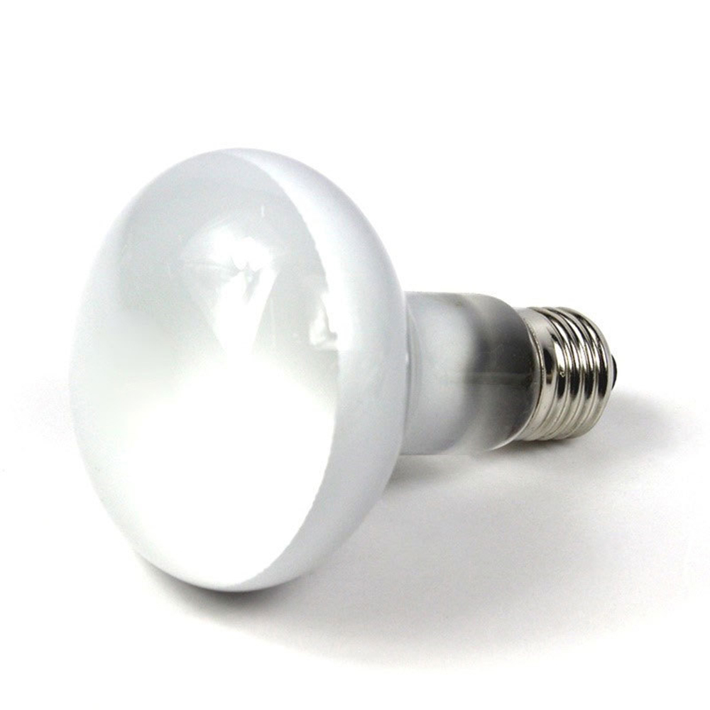 Schildpadverwarmer Warmtelamp  - Basking Bulb Halogen recensie en prijs
